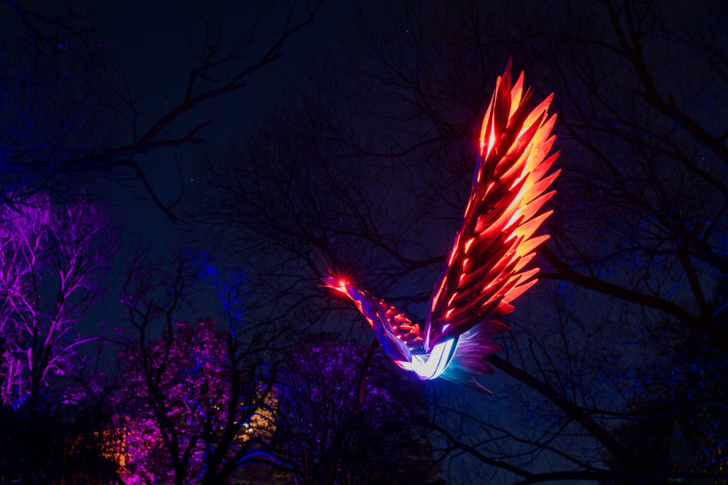 Brooklyn Botanic Gardens Lightscape Makes the Holidays Shine