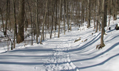 best-westchester-winter-hikes-tea-town