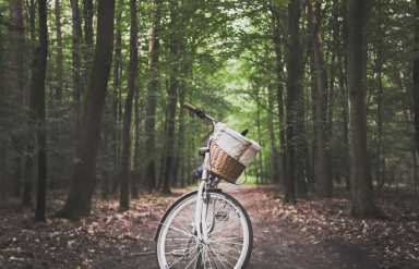 10 Things I Learned as a Summer Camp Counselor