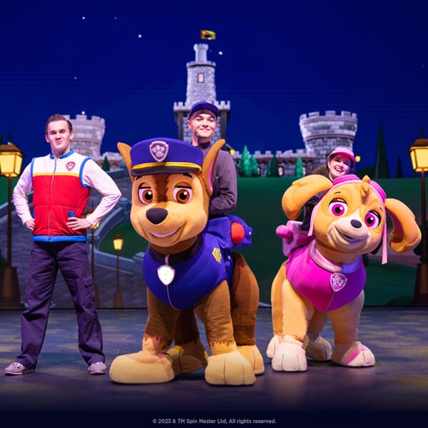 Be a Hero at Paw Patrol Live! at MSG