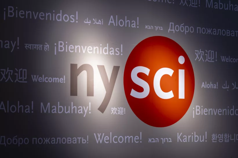 Guide to Visiting the New York Hall of Science