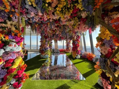 Flourish at Sky Bloom at the Edge