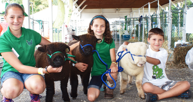 This County fest is fun and educational for the entire family