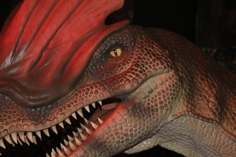 New Dinosaurs are Roaring into Nassau County!