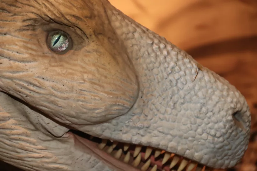 New Dinosaurs are Roaring into Nassau County!