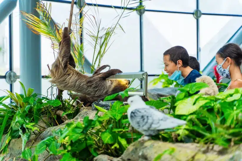 The Best Zoos in NYC for Kids