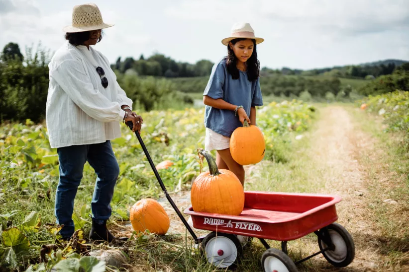 21 Places to Go Pumpkin Picking on Long Island Your Family Will Love