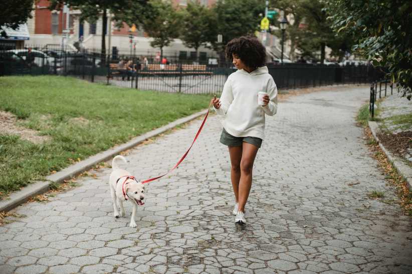 A woman in a white hoodie walks her small white dog on a red leash along a paved path in a green city park.
