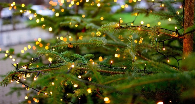 holiday tree lightings