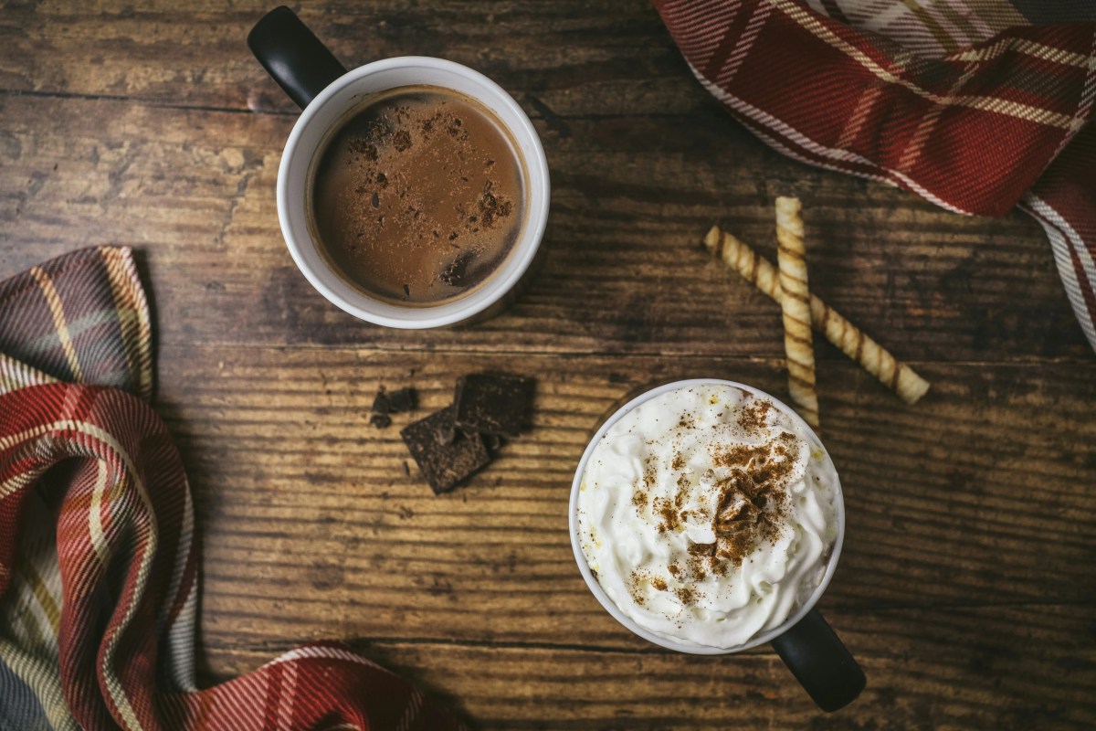 14 Best Hot Chocolate Spots in NYC New York Family