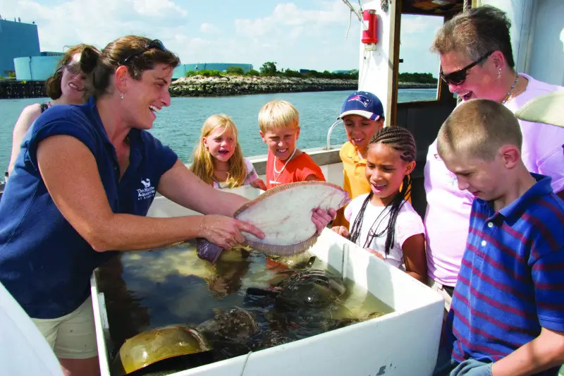 marine life study cruise