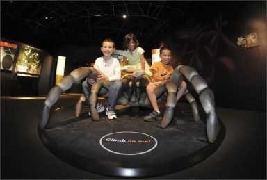18._Climbable_spider_RM