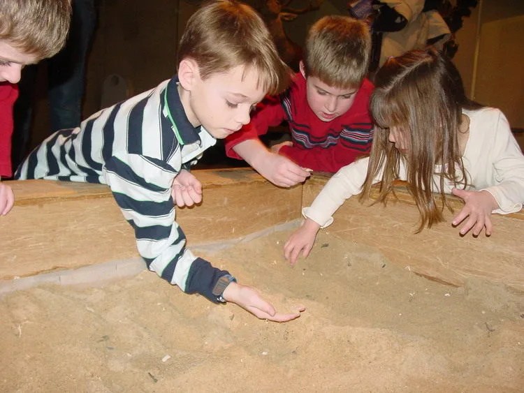 Kids-Sifting-For-Fossils