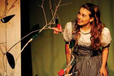 Alice-in-Wonderland