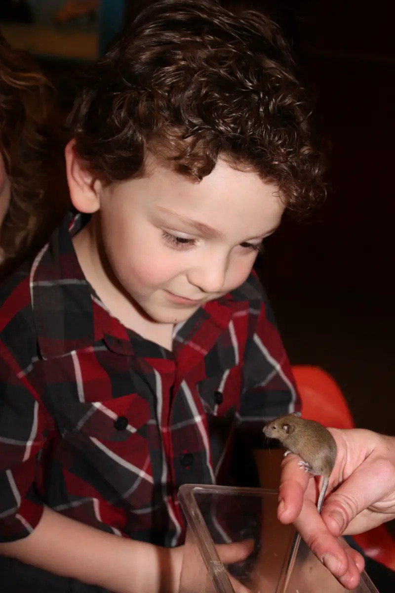 boy and a mouse