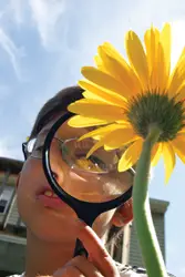 young boy using magnifying glass; exploring; sunflower; the quad manhattan