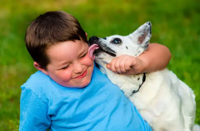 dog licking boy's face