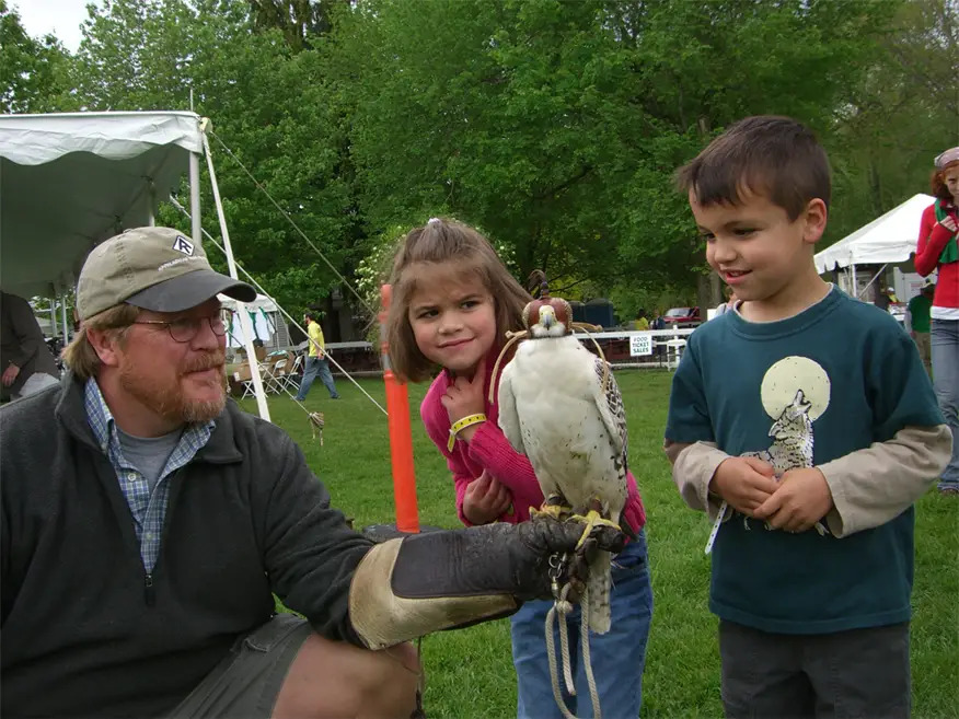 birds of prey day