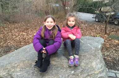 Bronx-Zoo-top
