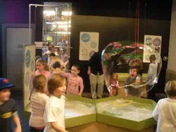Bubble Gallery at Long Island Children's Museum