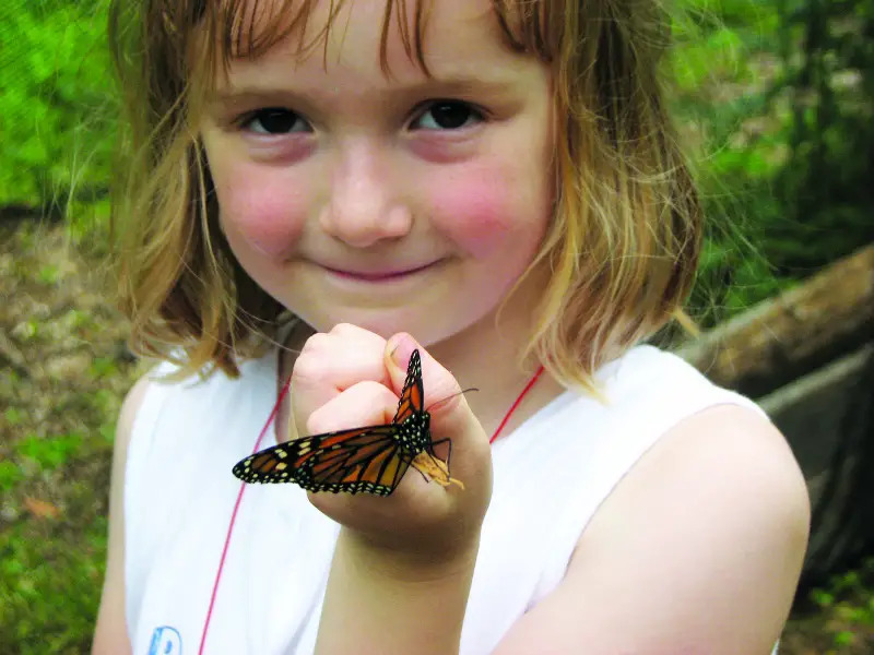 girl holding butterfly