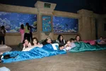 Aquarium Sleepover, Atlantis Marine World Aquarium