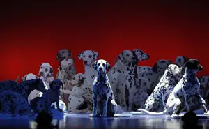 101 Dalmatians; dog show; dalmatian musical