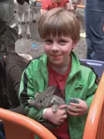 boy holding rabbit; Families First spring carnival, Brooklyn