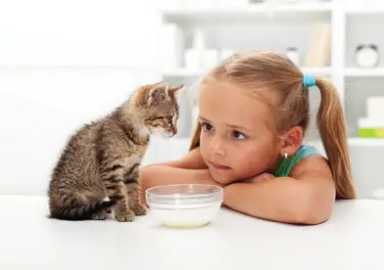 Cat-and-Girl