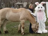 Kids celebrate Easter with the 4th Annual Easter Egg-Stravaganza at Pal-O-Mine Equestrian.