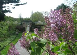 Old Westbury Gardens; Long Island, NY