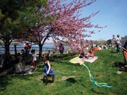 girl flying a kite; child and kite; kite flying contest; Socrates Sculpture Park