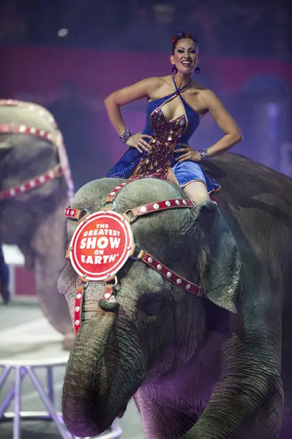 circus performer on an elephant