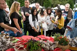 Chile Pepper Fiesta at Brooklyn Botanic Garden