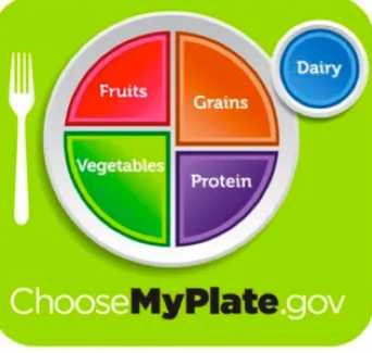 Choose-My-Plate