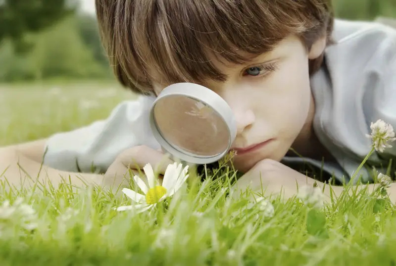 Curious boy with a magnifying glass