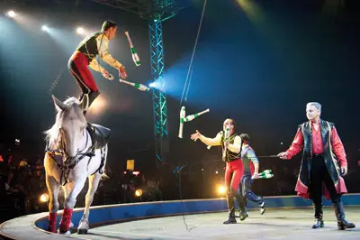 Donnert Brothers, Ringling Bros. circus