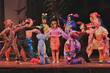 Doras-Pirate-Adventure