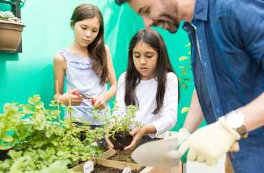 Building Respect For The Environment