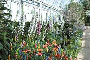 EmilyDickensonGarden