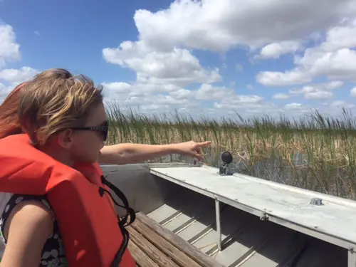 An airboat ride through the Everglades