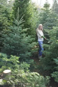 Evergreen tree forest; woman among pine trees