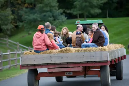 fall hayride; fall festivals in westchester county, new york