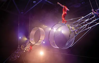 The Fernandez Brothers, Ringling Bros. circus