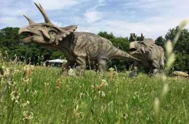 Field-Station-Dinosaurs-2016