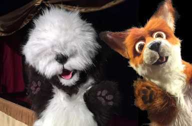 Fox-and-Dog