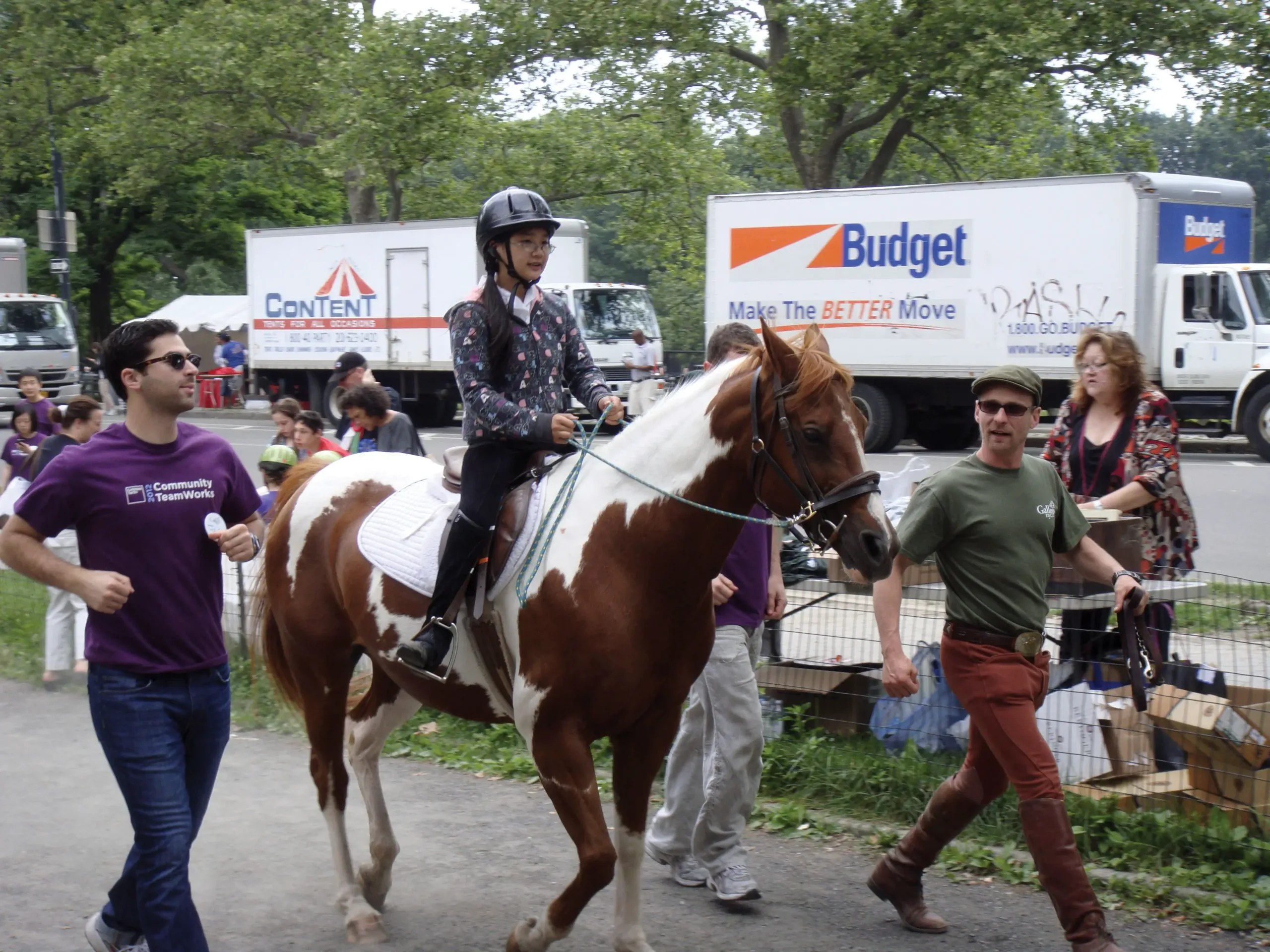 GallopNYC horse show in central park