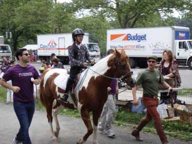 GallopNYC-horse-show