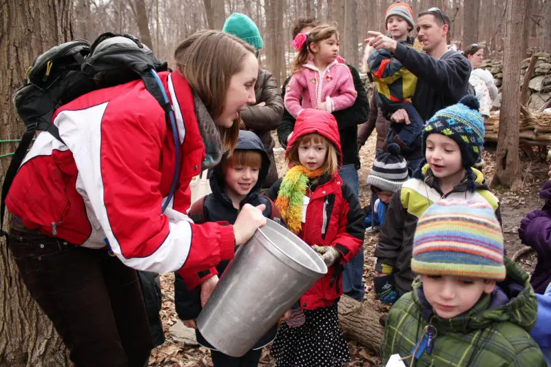 kids in the woods