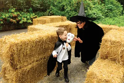 Halloween hay maze; Boo at the Zoo at Bronx Zoo